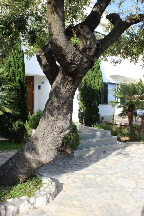 Apartment Culjak Rab Rab Town